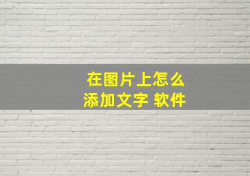 在图片上怎么添加文字 软件